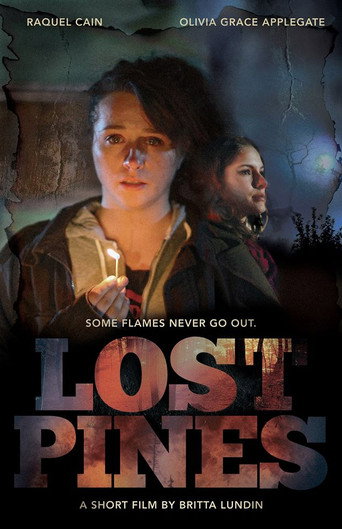 Movie poster for Lost Pines (2013)