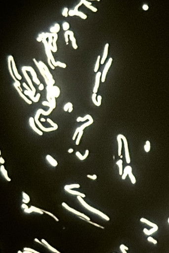 Your Death is My Delight poster