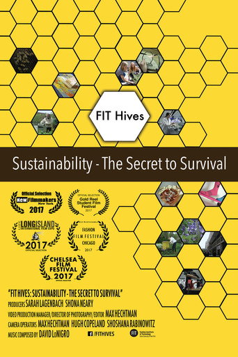 Movie poster for FIT Hives: Sustainability - The Secret to Survival (2017)