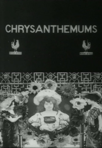 Movie poster for Chrysanthemums (1907)
