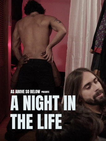 Movie poster for A Night in the Life (2025)