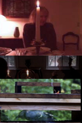 Movie poster for The Bird Feeders (2008)