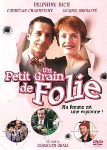 Un petit grain de folie poster