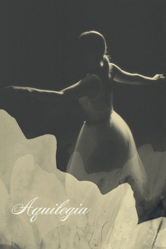 Aquilegia poster