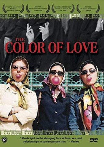 Movie poster for The Color Of Love (2004)
