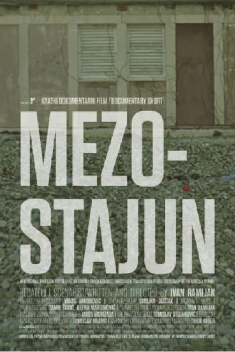 Movie poster for Mezostajun (2018)