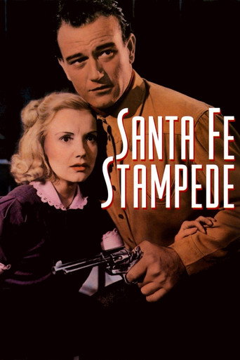 Movie poster for Santa Fe Stampede (1938)
