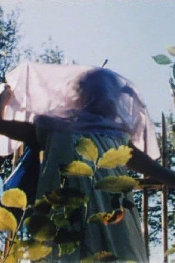 Movie poster for Anna-Stina Ehrenfeldt: Painter (1999)