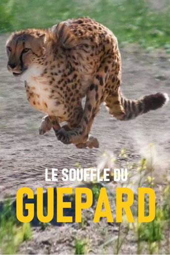 Movie poster for Le souffle du guépard (2018)