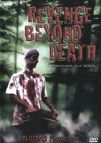 Movie poster for Revenge Beyond Death (2006)