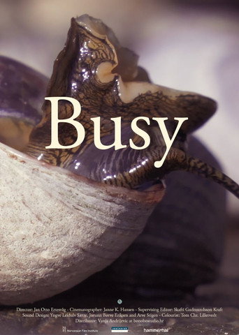 Movie poster for Busy (2022)