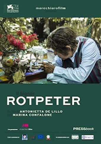 Movie poster for Mr Rotpeter (2017)