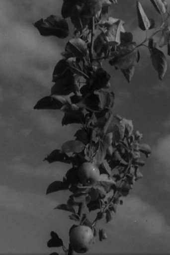 Movie poster for Ruhnu (1965)