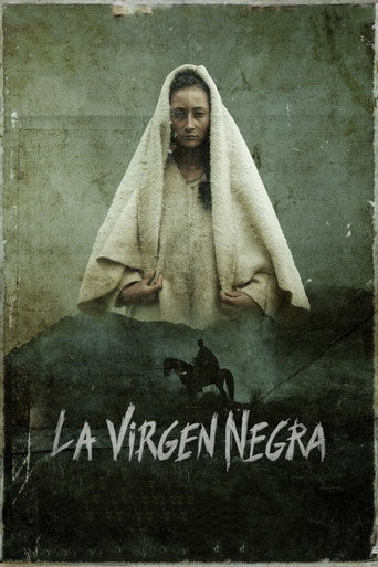 Movie poster for The Black Virgin (2018)
