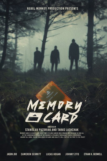 Movie poster for Memory Card (2024)