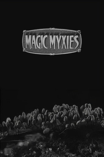 Movie poster for Magic Myxies (1931)
