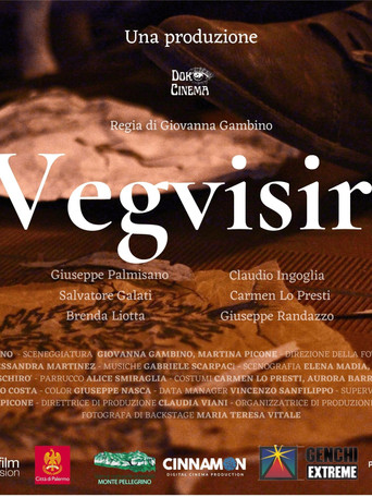 Movie poster for Vegvisir (2024)