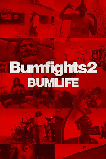 Movie poster for Bumfights Vol. 2: Bumlife (2003)
