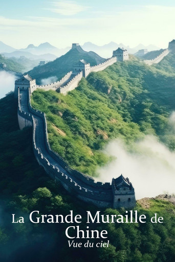 Movie poster for Flying the Great Wall (2018)