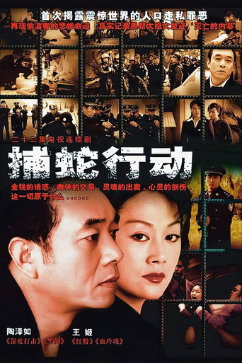 捕蛇行动 poster
