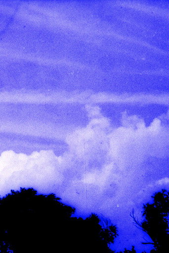 Movie poster for Anomalies in a Landscape (2025)