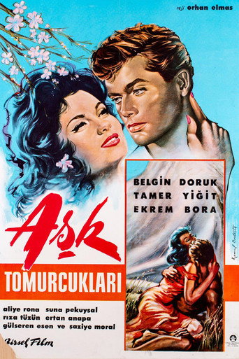 Movie poster for Aşk Tomurcukları (1963)