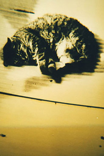 Movie poster for Animal Studies (1998)