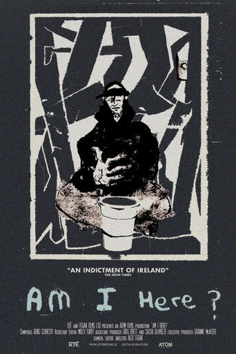 Am I Here? Homeless in Ireland poster