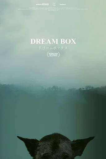 Movie poster for Dream Box (2017)