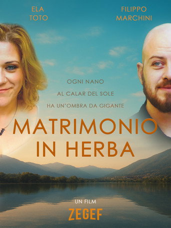 Movie poster for Marriage in the Making (2025)