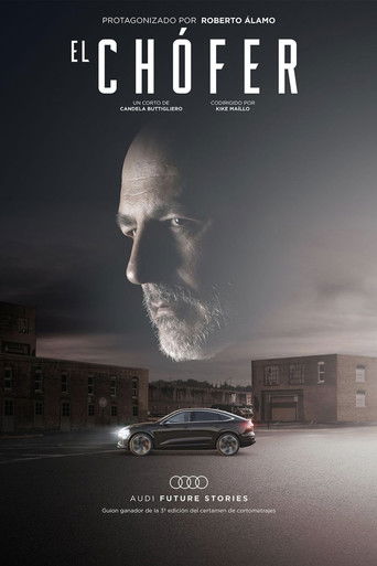 The Driver poster