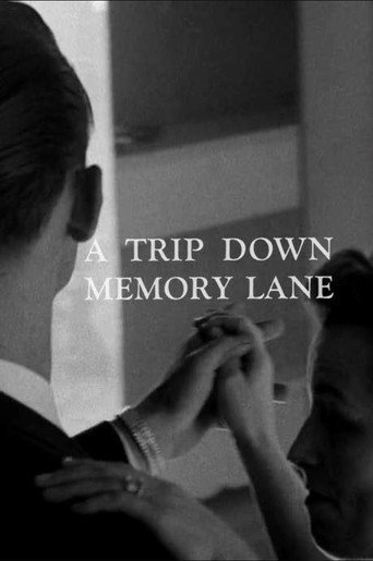 Movie poster for A Trip Down Memory Lane (1966)