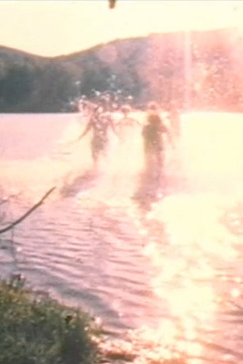 Water Light/Water Needle (Lake Mah Wah, NJ) poster