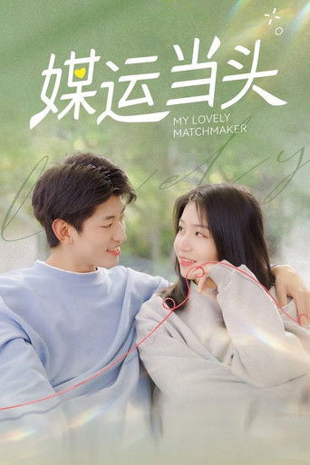 My Lovely Matchmaker poster