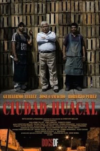 Movie poster for Huacal City (2008)