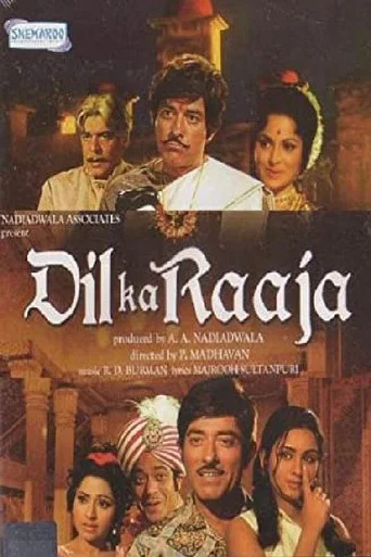 Movie poster for Dil Ka Raaja (1972)
