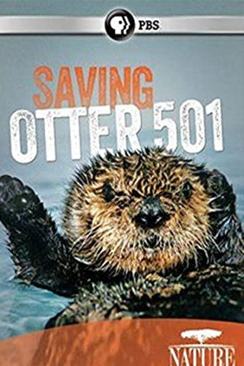 Movie poster for Saving Otter 501 (2013)