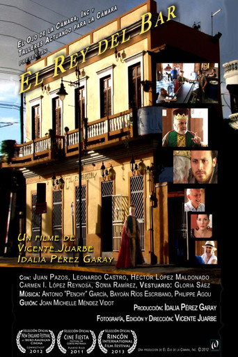 Movie poster for El Rey del Bar (2013)