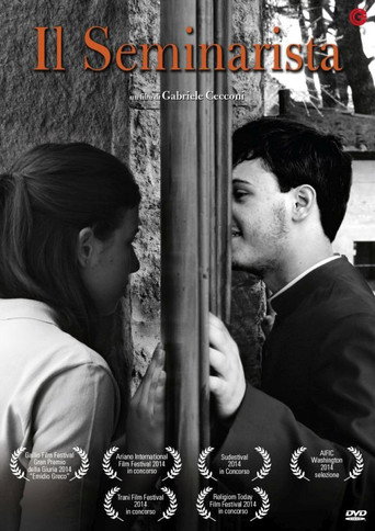 Movie poster for The Seminarian (2013)