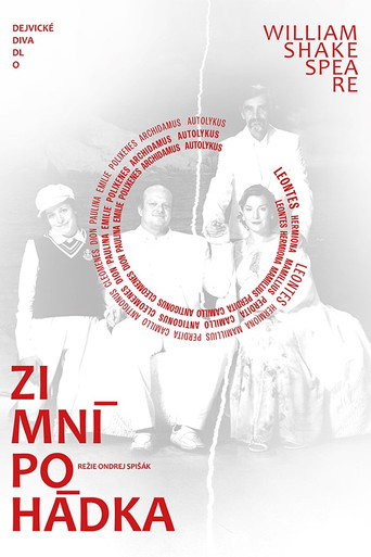 Zimní pohádka poster