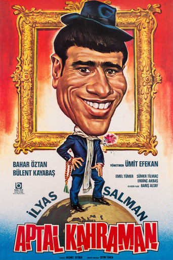 Aptal Kahraman poster