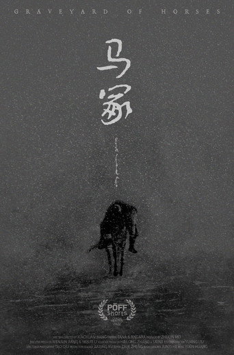 Movie poster for Graveyard of Horses (2022)