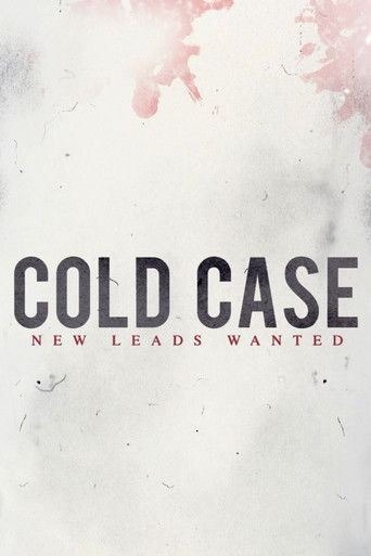 Cold Case poster