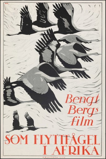 Movie poster for As a Migratory Bird in Africa (1922)