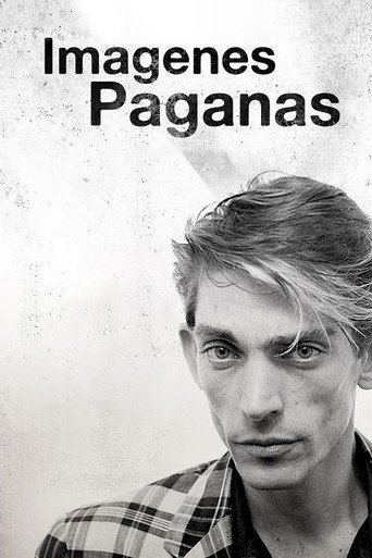 Movie poster for Imágenes paganas (2013)