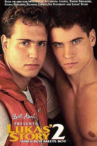 Movie poster for Lukas' Story 2: When Boy Meets Boy (1995)