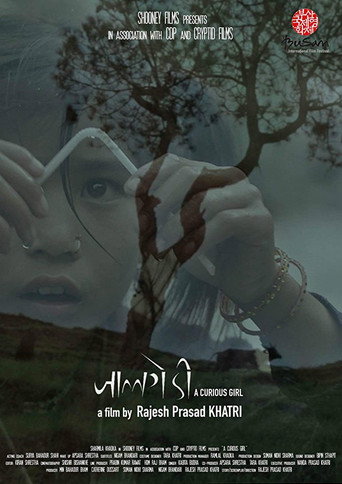 Movie poster for A Curious Girl (2017)