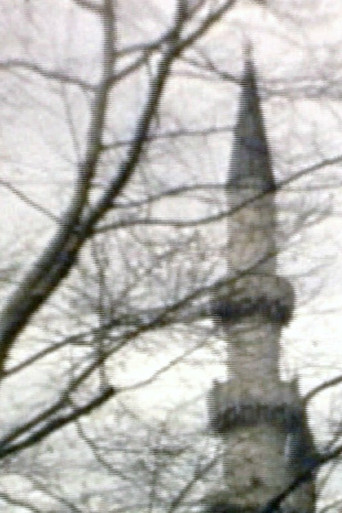 Movie poster for Winter (2007)