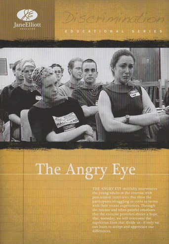 Movie poster for The Angry Eye (2001)