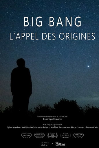 Movie poster for Big bang, l'appel des origines (2022)